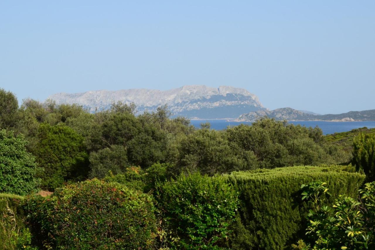 Sa Domitta Di Suiles Appartement Olbia Buitenkant foto